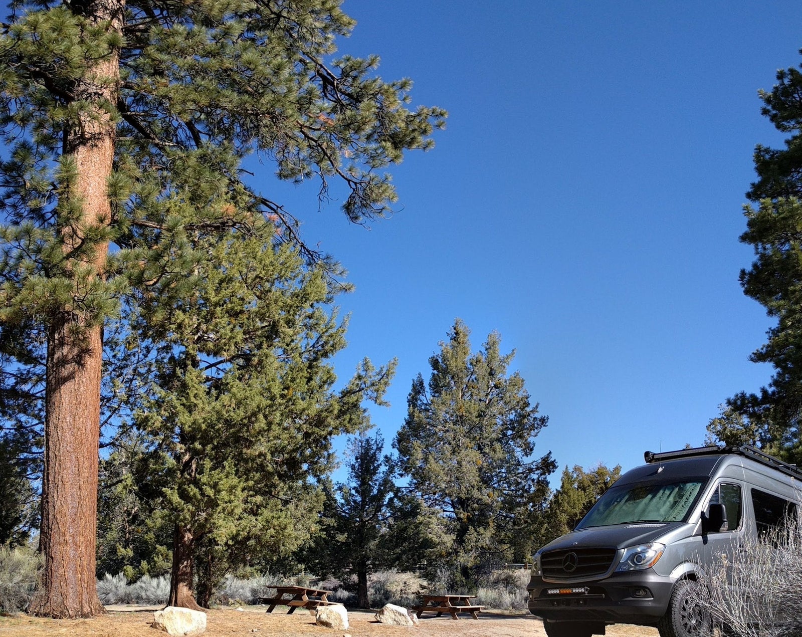 RB Sprinter adventure van parked at a pine forest campsite in Big Bear