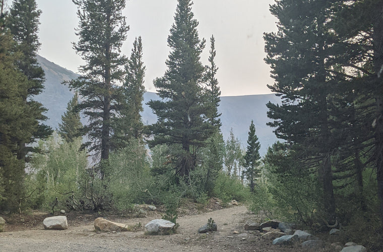 Demo 31 - 170ex RB Adventure Van 3500 4x4