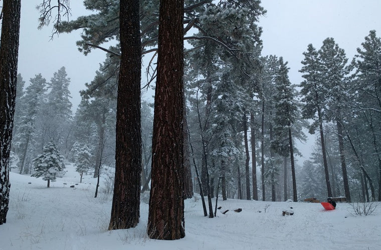 RB Touring Van 02 - 170