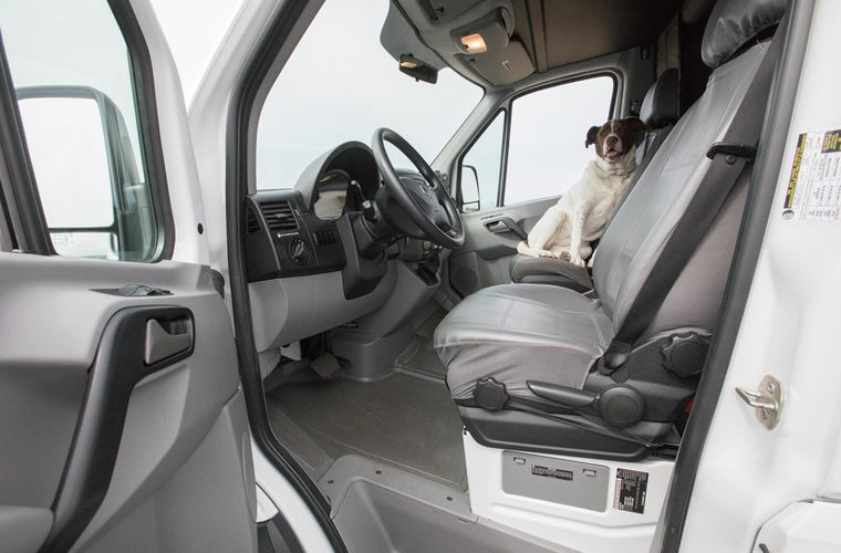 Social Photo Mobile Photo Studio 170